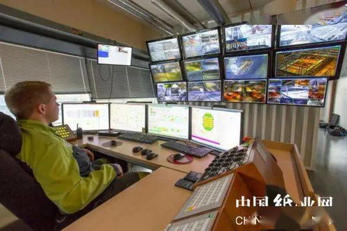 勞馬（Rauma）將機器視覺引入鋸材廠與在線教育行業 技術創新賦能傳統與數字化融合